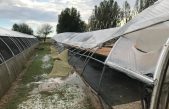 Vento, grandine e pioggia si abbattano sul Centro Ortofloricolo Sperimentale Po di Tramontana