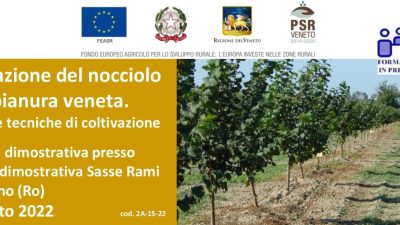 Coltivazione del nocciolo nella pianura veneta. Varietà e tecniche di coltivazione