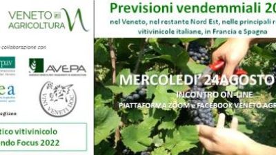 MERCOLEDI’ 24 AGOSTO (ORE 10:00) FOCUS ON-LINE SULLE PREVISIONI VENDEMMIALI IN ITALIA, FRANCIA E SPAGNA