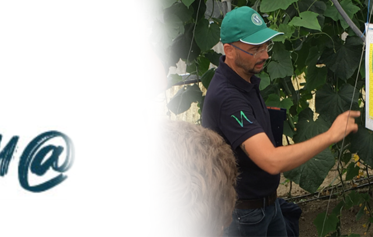 Veneto Agricoltura Inform@ n°11/2024 del 6.9.24