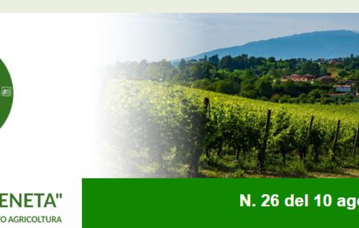 Newsletter Agricoltura Veneta n. 26 del 10 agosto 2022