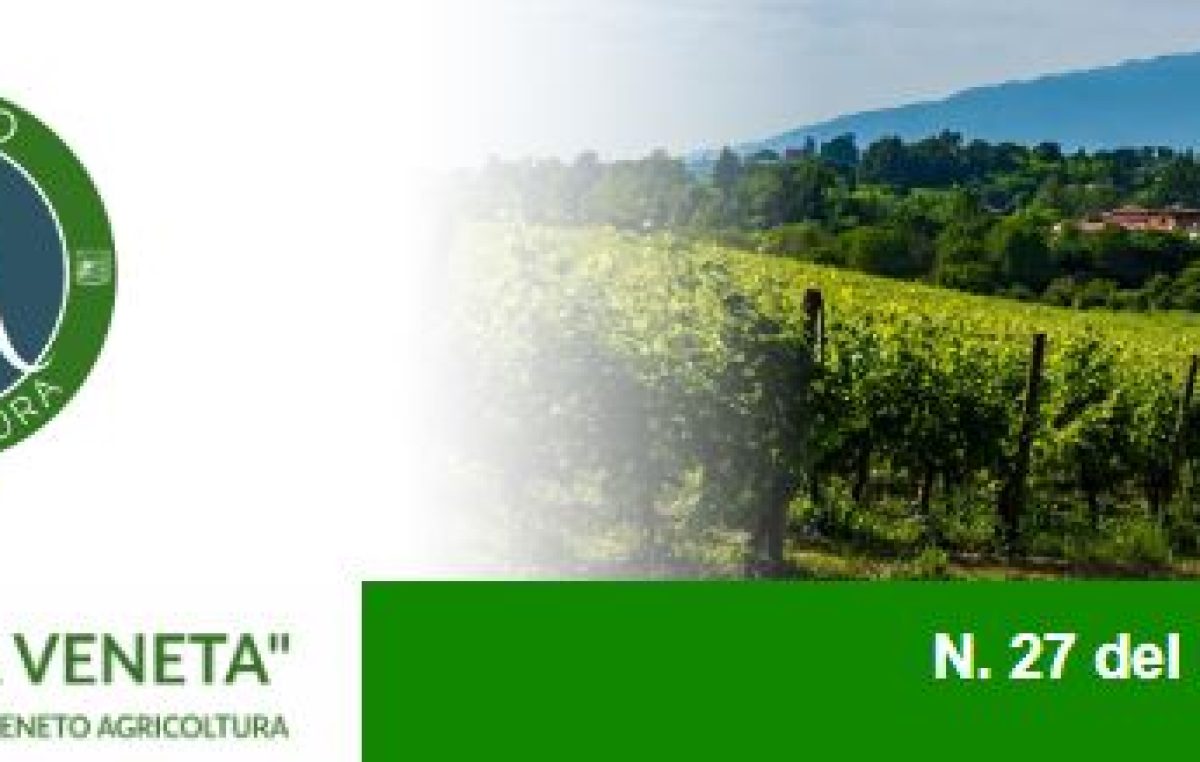Newsletter Agricoltura Veneta n. 27 del 17 agosto 2022