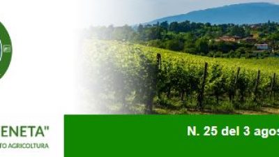 Newsletter Agricoltura Veneta n. 25 del 3 agosto 2022