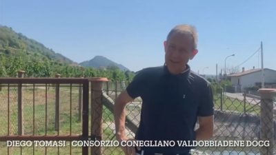 Verso la vendemmia 2022 – L’area del Conegliano Valdobbiadene Prosecco DOCG
