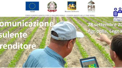 La comunicazione consulente-imprenditore