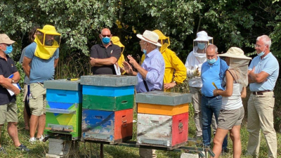BeeDiversity, una nuova app e una rete di arnie elettroniche: anche le api ringraziano
