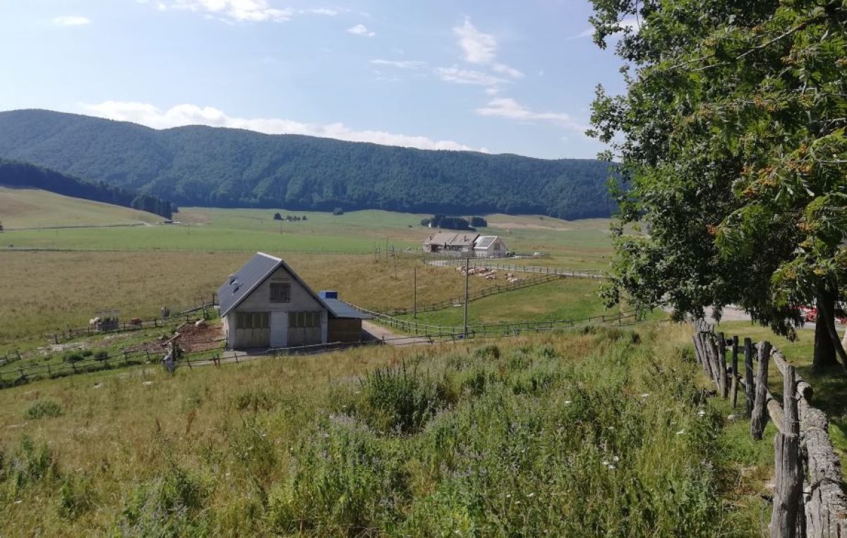 AAA: ALLEVATORE-IMPRENDITORE AGRITURISTICO CERCASI IN CANSIGLIO