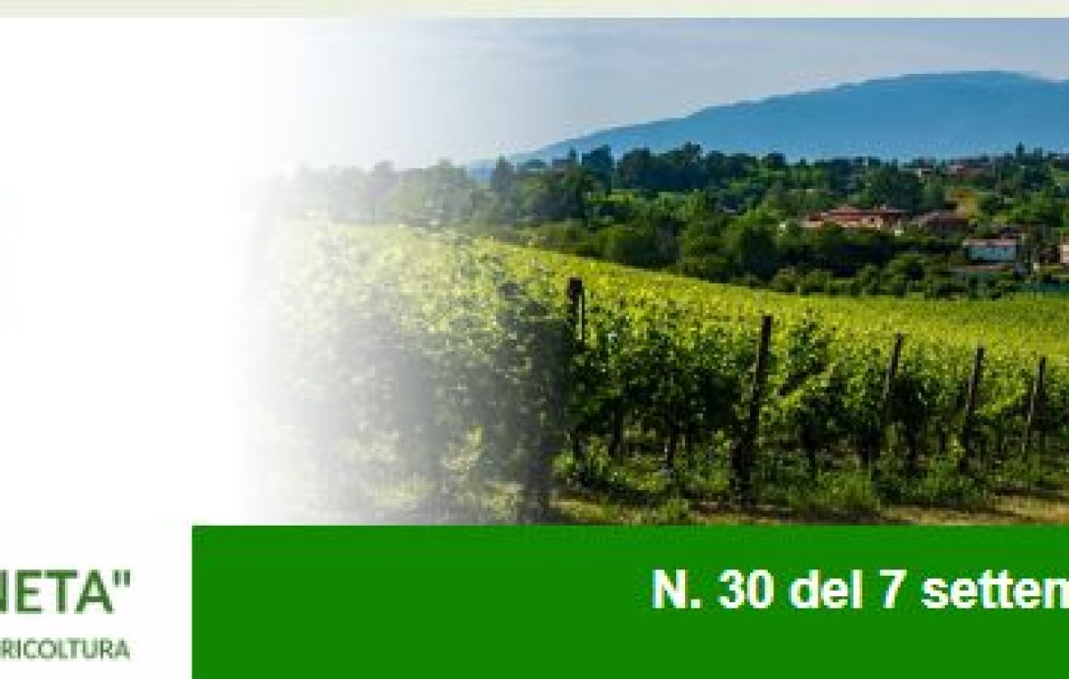 Newsletter Agricoltura Veneta n. 30 del 7 settembre 2022