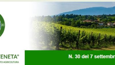 Newsletter Agricoltura Veneta n. 30 del 7 settembre 2022