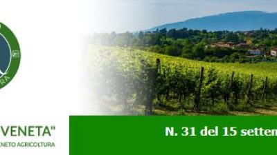 Newsletter Agricoltura Veneta n. 31 del 15 settembre 2022