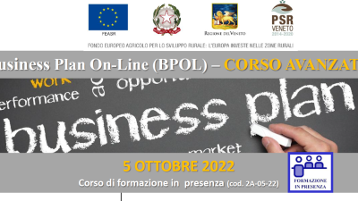 Business Plan On-Line (BPOL) – CORSO AVANZATO