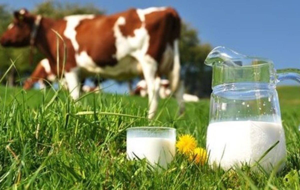LATTE BIOLOGICO: VENETO IN CRESCITA