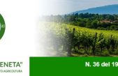 Nesletter Agricoltura Veneta n. 36 del 19 ottobre 2022
