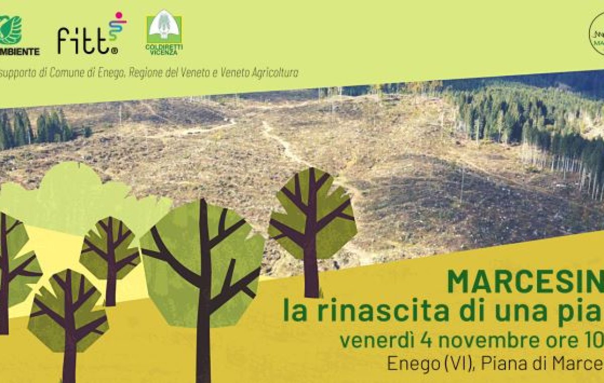 ENEGO (VI): PARTE LA RINASCITA DELLA PIANA DI MARCESINA DISTRUTTA DA VAIA