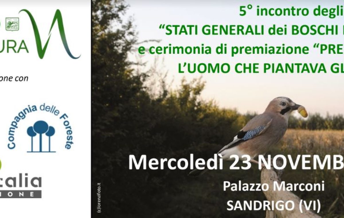 A SANDRIGO (VI) L’EDIZIONE 2022 DEGLI STATI GENERALI DEI BOSCHI DI PIANURA