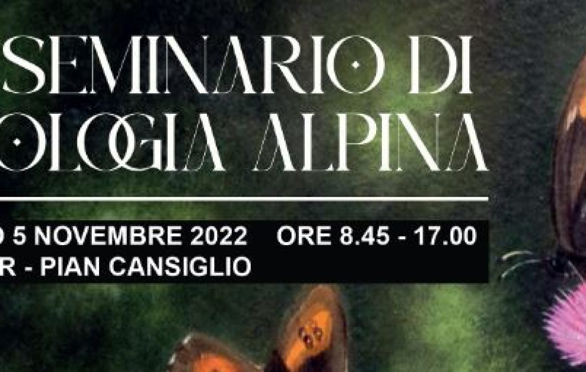 PIAN CANSIGLIO: FAUNA SELVATICA, HABITAT NATURALI E BIODIVERSITÀ SOTTO I RIFLETTORI