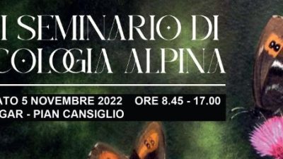 PIAN CANSIGLIO: FAUNA SELVATICA, HABITAT NATURALI E BIODIVERSITÀ SOTTO I RIFLETTORI