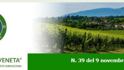 Newsletter Agricoltura Veneta n. 39 del 9 novembre 2022