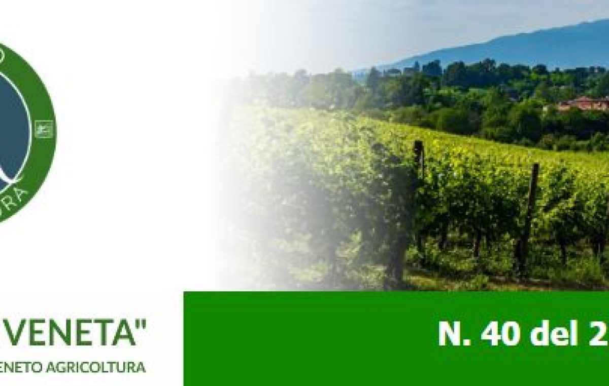 Newsletter Agricoltura Veneta n. 40 del 23 novembre 2022