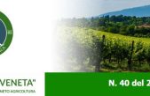 Newsletter Agricoltura Veneta n. 40 del 23 novembre 2022