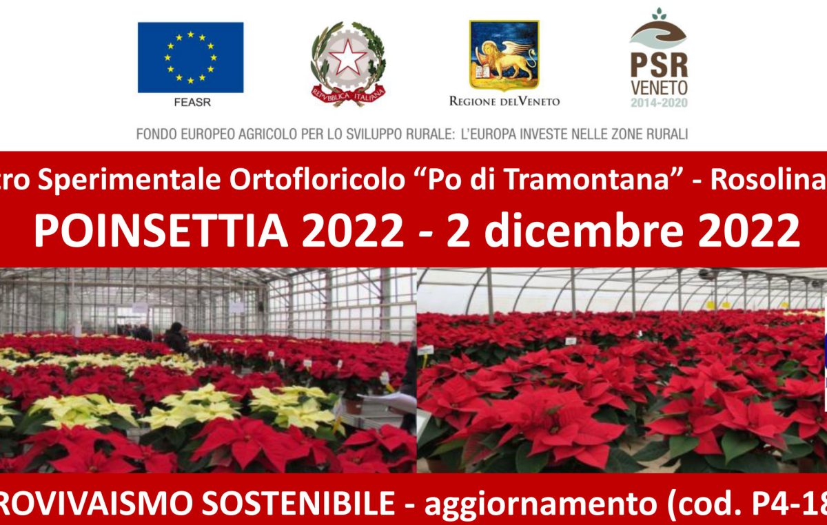 GIORNATA POINSETTIA 2022: IN MOSTRA OLTRE 130 VARIETA’ DI STELLE DI NATALE
