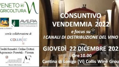 CONSUNTIVO VENDEMMIA  2022