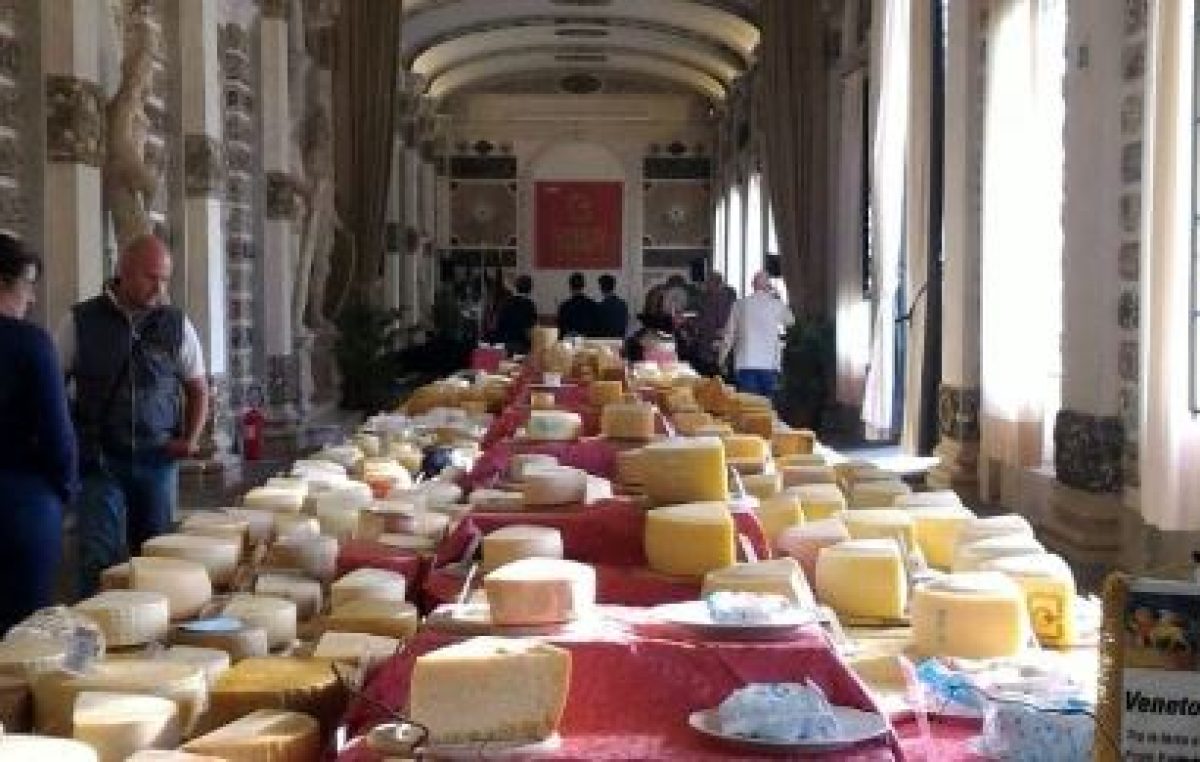 FORMAGGI VENETI DI ALTA QUALITA’: CASEIFICI E LATTERIE DIVERSIFICANO LE PRODUZIONI