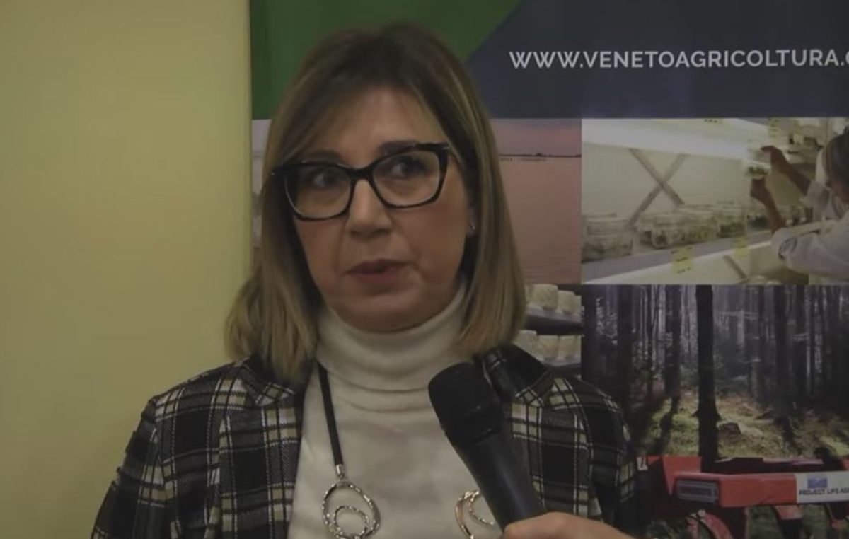 Consuntivo vendemmia 2022 nel Veneto, mercati del vino, export, canali di distribuzione. Terzo e ultimo focus del Trittico Vitivinicolo 2022, evento di Regione del Veneto, Veneto Agricoltura e Avepa. Cantina di Lonigo-Vi Collis Group (22/12/2022)