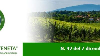 Newsletter Agricoltura Veneta n. 42 del 7 dicembre 2022