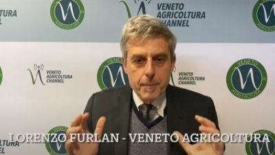 Difesa integrata delle colture: sintesi sugli aspetti normativi, con Lorenzo Furlan di Veneto Agricoltura.