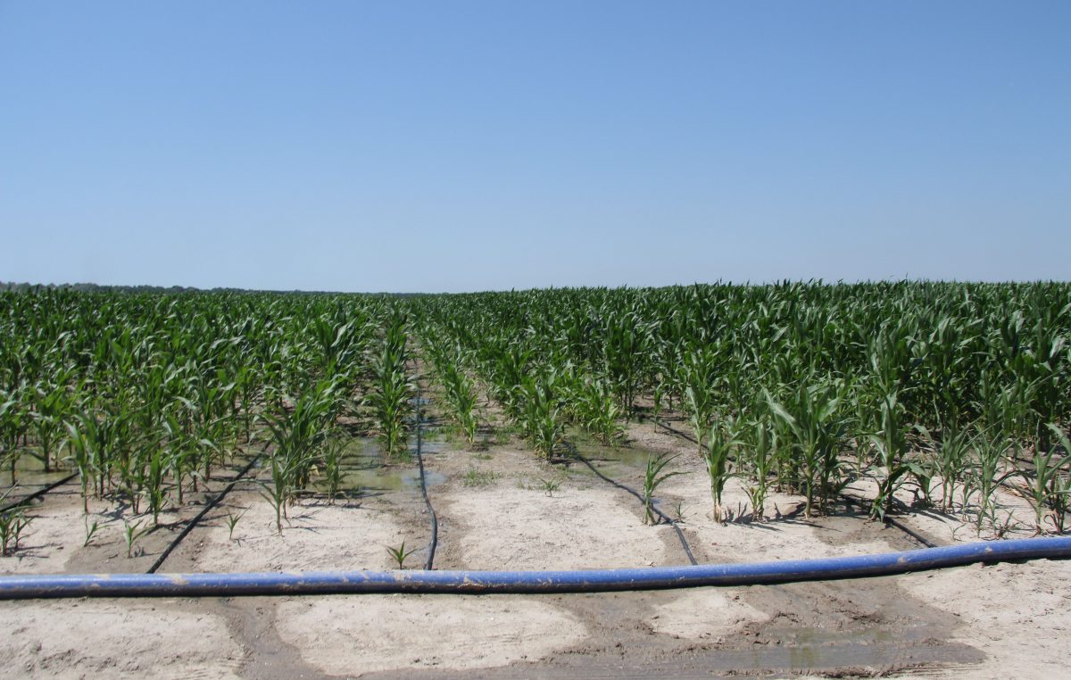 ARRIVA “FIERAGRICOLA TECH”
