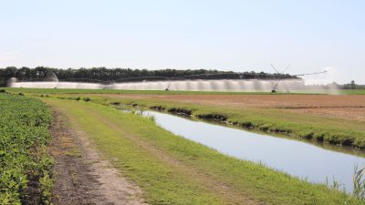 “FIERAGRICOLA TECH”: TECNOLOGIE PER L’ACQUA. L’ACQUA PER L’AGRICOLTURA