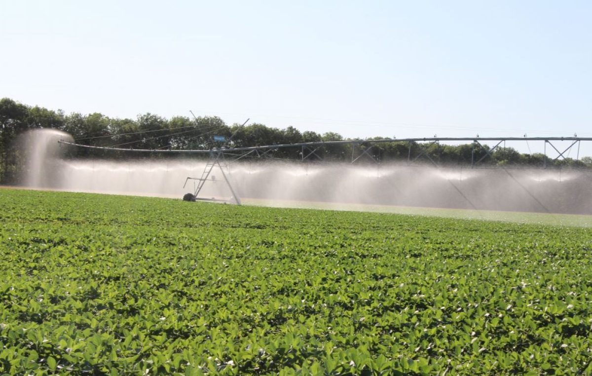 Innovazioni tecnologiche per l’agricoltura. Le esperienze in campo di Veneto Agricoltura in tema di irrigazione di precisione. Focus a Verona – Fieragricola Tech il 2 febbraio 2023 ore 15:30. Il punto con Lorenzo Furlan di Veneto Agricoltura.