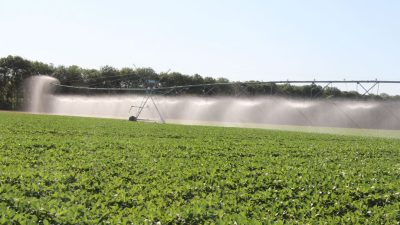 Innovazioni tecnologiche per l’agricoltura. Le esperienze in campo di Veneto Agricoltura in tema di irrigazione di precisione. Focus a Verona – Fieragricola Tech il 2 febbraio 2023 ore 15:30. Il punto con Lorenzo Furlan di Veneto Agricoltura.