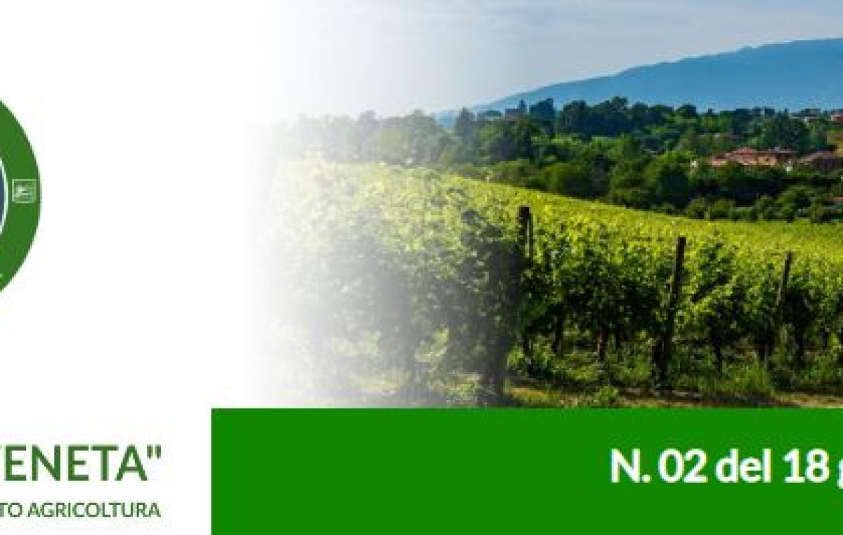“Agricoltura Veneta” n. 2 del 18 gennaio 2023