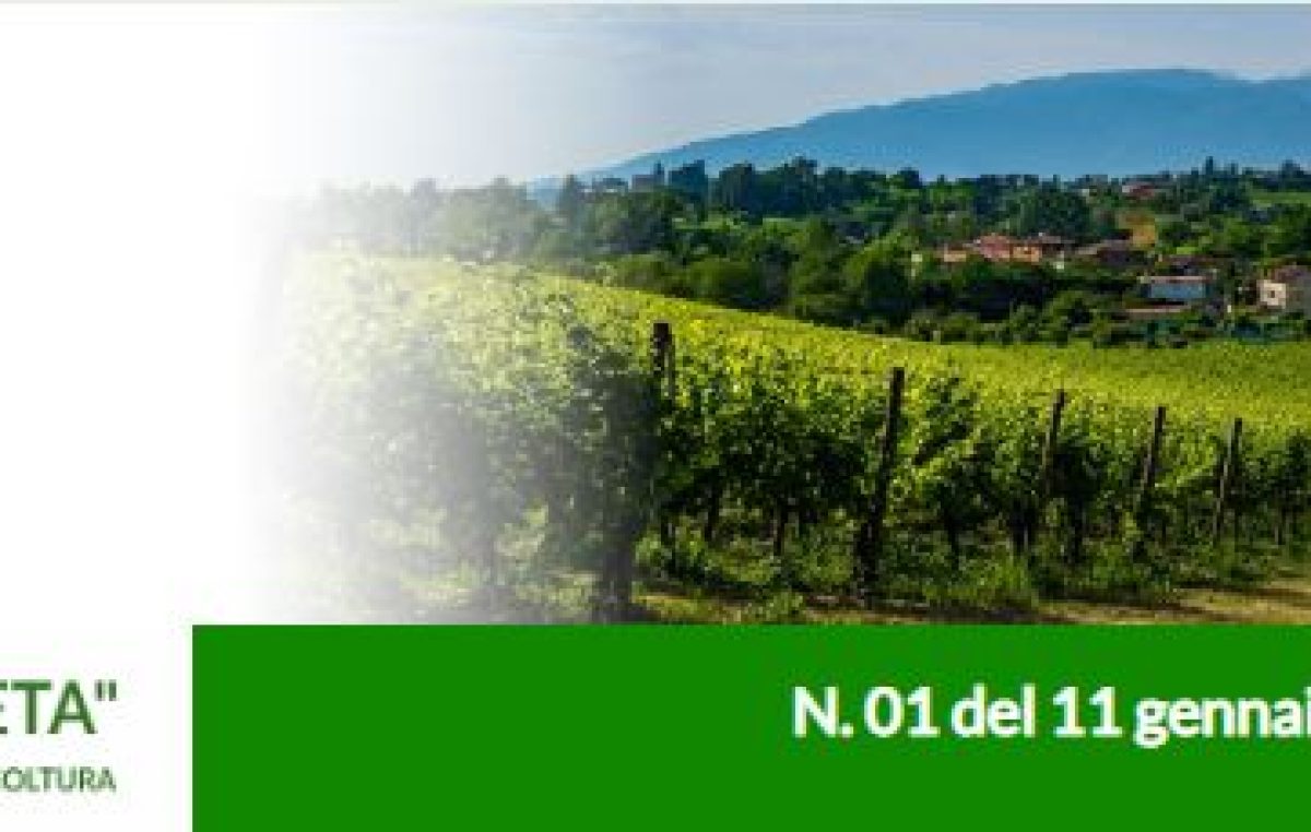 Agricoltura Veneta n. 1 del 11 gennaio 2023
