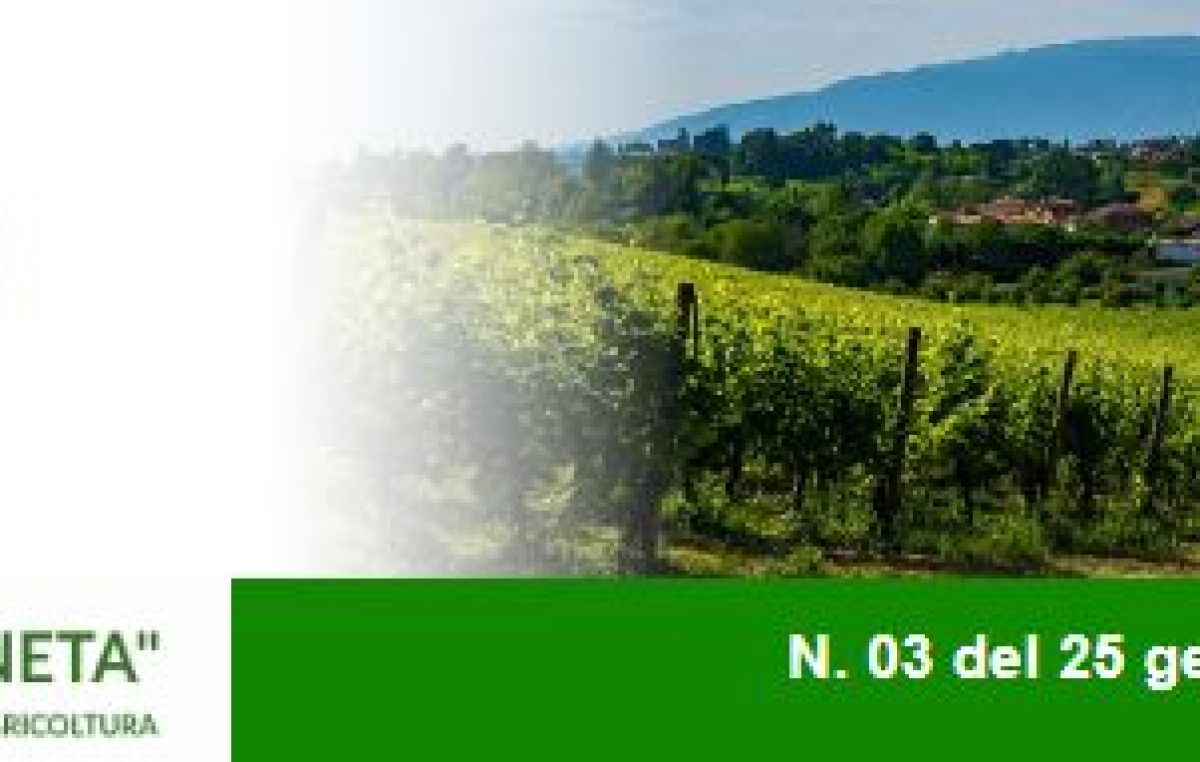 Newsletter Agricoltura Veneta n. 3 del 25 gennaio 2023