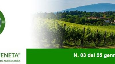 Newsletter Agricoltura Veneta n. 3 del 25 gennaio 2023