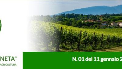 Agricoltura Veneta n. 1 del 11 gennaio 2023