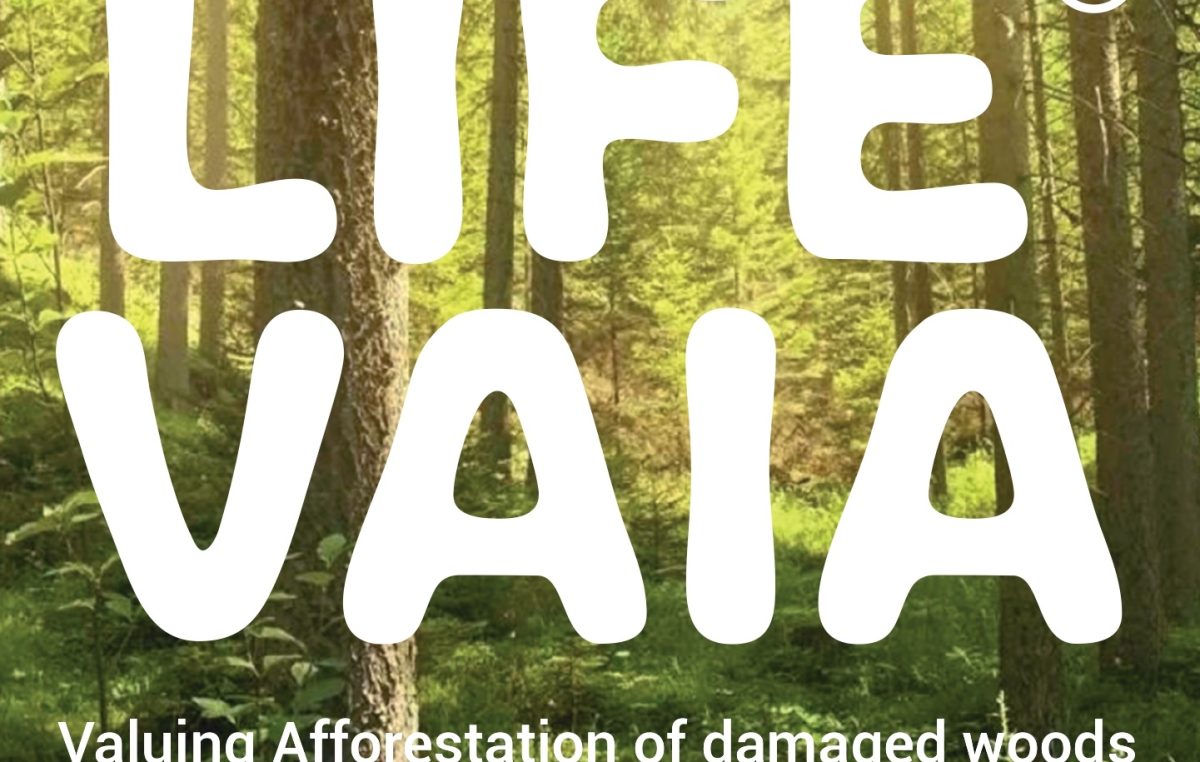 LIFE VAIA – Valuing Afforestation of damaged woods with Innovative Agroforestry
