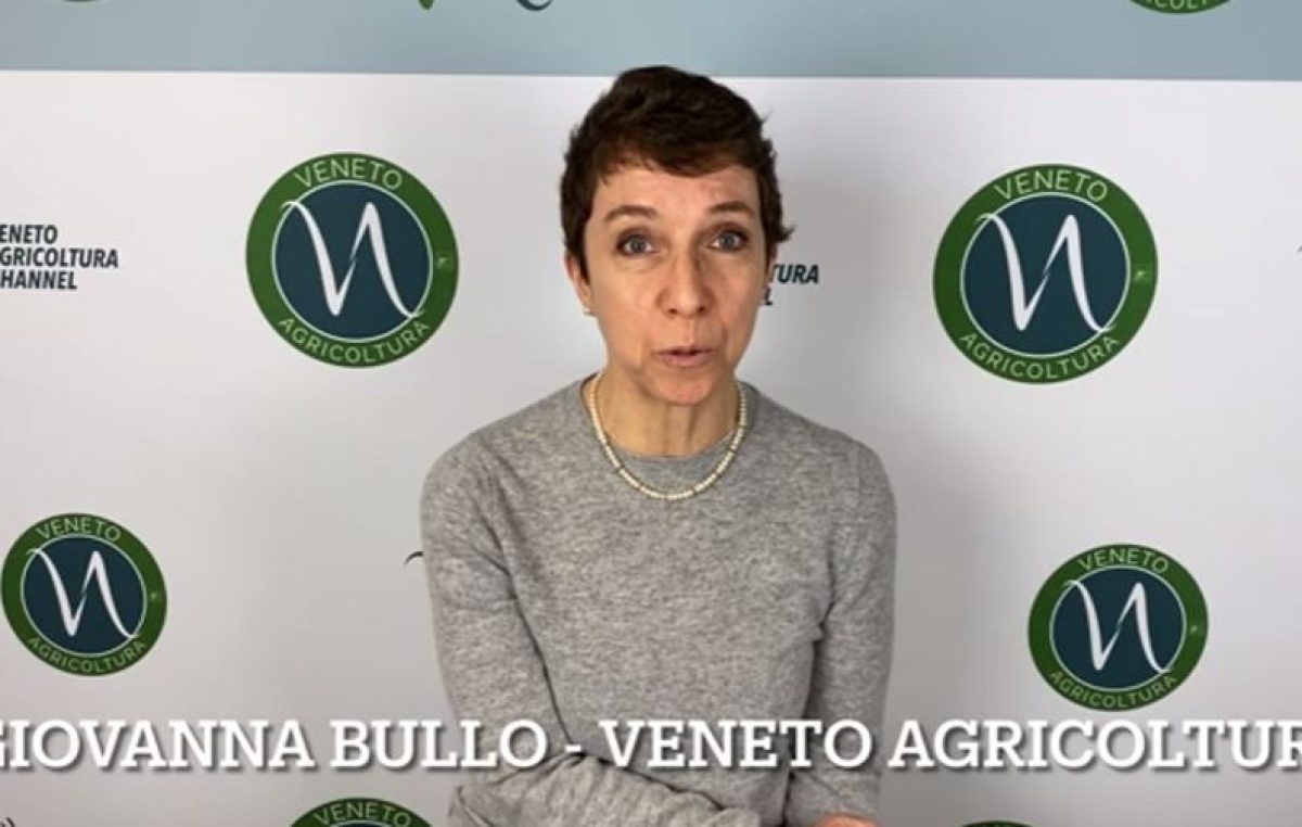 La tavola sul banco. Mangiando si impara! Al via il progetto di Regione del veneto con Veneto Agricoltura.