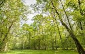 A FARRA DI SOLIGO (TV) IL CONVEGNO CONCLUSIVO DEL PROGETTO EUROPEO LIFE PALU’ QUARTIER DEL PIAVE