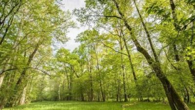 A FARRA DI SOLIGO (TV) IL CONVEGNO CONCLUSIVO DEL PROGETTO EUROPEO LIFE PALU’ QUARTIER DEL PIAVE