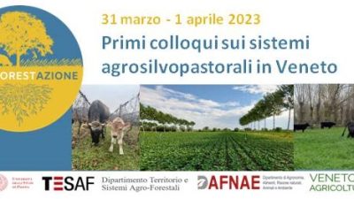 Primi colloqui sui sistemi agrosilvopastorali in Veneto