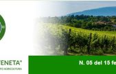 Newsletter Agricoltura Veneta n. 5 del 15 febbraio 2023