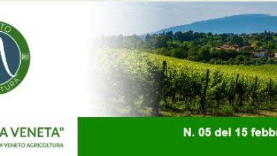 Newsletter Agricoltura Veneta n. 5 del 15 febbraio 2023