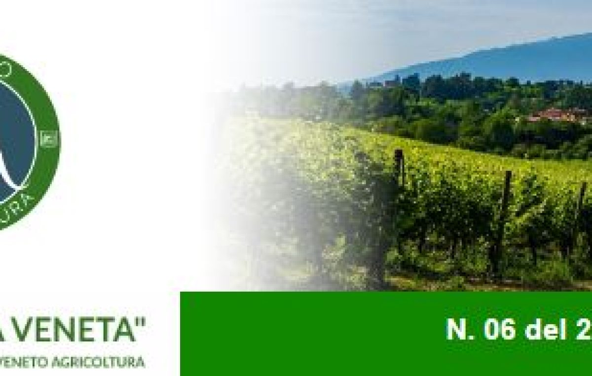 Newsletter Agricoltura Veneta n. 06 del 22 febbraio 2023