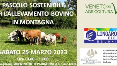 PASCOLO SOSTENIBILE PER L’ALLEVAMENTO BOVINO IN MONTAGNA