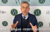 Difesa integrata delle colture: come affrontare le operazioni di semina del mais. Ce lo spiega Lorenzo Furlan di Veneto Agricoltura (Focus Colture Erbacee n. 8 del 2 marzo 2023)