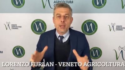 Difesa integrata delle colture: come affrontare le operazioni di semina del mais. Ce lo spiega Lorenzo Furlan di Veneto Agricoltura (Focus Colture Erbacee n. 8 del 2 marzo 2023)